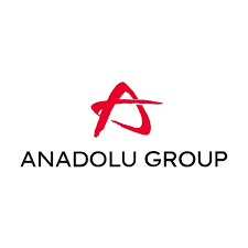 anaodlu grup